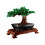 LEGO-Bausatz - Bonsai-Baum (10281) - 878 Teile - Anpassbares Modell Grün/Rosa - Biobasierter Kunststoff 4