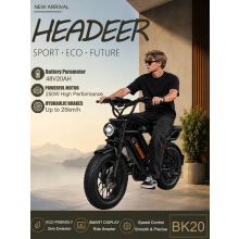 Bicycle Industry BK20 Vélo électrique pour adultes, Roues 20x4 pouces, Moteur 750W, Batterie 48V 20Ah, Frein à disque double