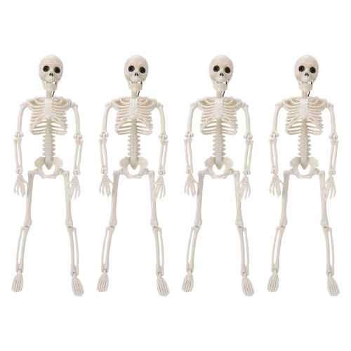 4Pcs Faux Human Skeleton Plastic Movable Joints Posable Artificial Full Body Human Skeleton 40cm