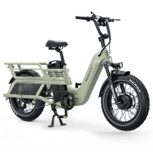 TESWAY C5 Electric Bike Freight 52V 60AH 20'' 38MPH