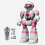 RC Toy with Gesture Sensor, Interactive Recordable Programmable Robot Gift for Boys 1
