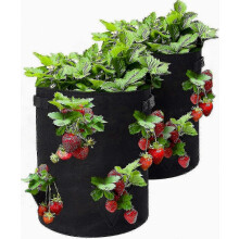 Verbeterde aardbeienkweekzakken, 2 stuks 10 gallon aardbeienplantenbakken met 8 zijvakken, ademende aardbeienkweekzak, compatibel met S