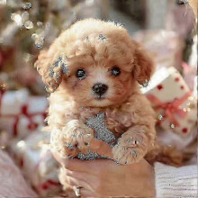 Chien robot pour adultes, chien robot IA, Nicoo - Mon chiot robot réaliste qui se comporte comme un vrai chiot - Marche, aboiements, re