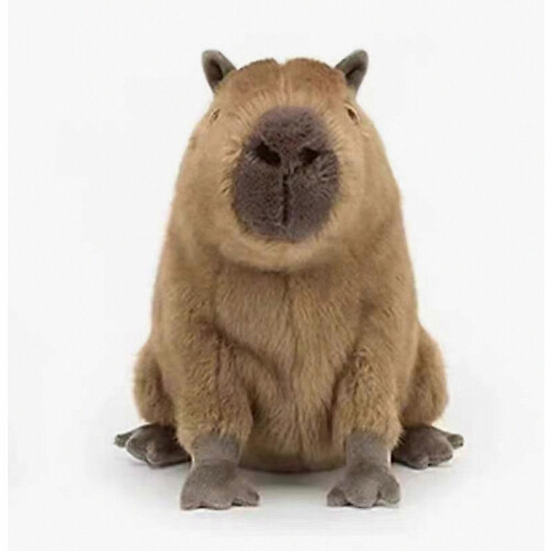 Λούτρινο Capybara, Λούτρινο Ζωάκι, Δώρα για Παιδιά, 40cm S04 1