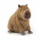Λούτρινο Capybara, Λούτρινο Ζωάκι, Δώρα για Παιδιά, 40cm S04 5