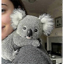 2026 Koala - Le Koaly, le réconfort émotionnel à la demande, peluche Koaly pour un soutien émotionnel, imitant la nouveauté S04