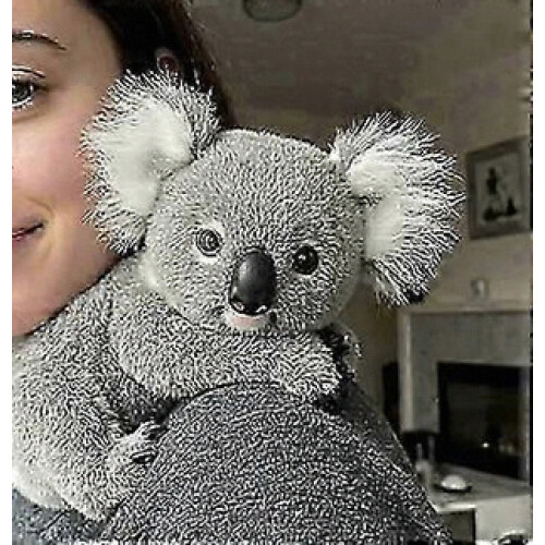 2026 Koala - Η Συναισθηματική Θεραπεία Koaly Κατ' Απαίτηση, Λούτρινο Koaly για Συνα