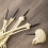 Smart Garden 95cm Halloween BoneYard Bones Skeleton Decoration with Ground Stakes 3