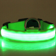 (Green, XL) LED Lighted Dog Collar, Glow in the Dark Nylon Pet Collar, Rechargeable Safety Collar for Dogs, Visible Night Walk, Purple, Medium/Large