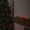 Premier 50 LED Pearl Berry Multi-Action Christmas String Lights in Red 2