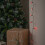 Premier 50 LED Pearl Berry Multi-Action Christmas String Lights in Red 5