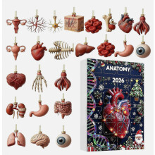 Anatomie Kerst Adventskalender 24 dagen Kerst aftelkalender 24 stuks 2D Organen Menselijk Hart en Hersenen Model Ornamenten