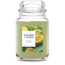 Yankee Candle Salvia y Cítricos, Vela Aromática, Tarro Grande de 22oz con 150 Horas de Duración