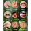 21Pcs Piercing Taper  Grabber Tool Hypoallergenic Piercing Kit, for Sensitive Ears, Flat Back Earring Applicator 5