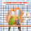 Bird Cage Heater (Suitable for Budgerigars and Various Parrots),Animal Heating Pad, Pets Warming Panel 3
