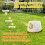 Automatic Dog Ball Launcher with 5 Balls 3 Adjustable Launch 3