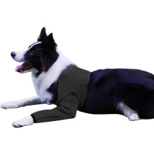 Post-OP-Overall für Hunde Schutzanzug Bequem Schwarz XL — hundeoverall nach op, hund body schutzanzug