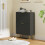 Elegant Two-Drawer Shoe Cabinet - Black 4