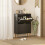 Elegant Two-Drawer Shoe Cabinet - Black 3