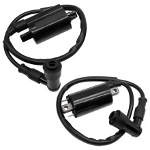 2 Bobine di Accensione per Motore GX345 per 2500 2520 3020 FD60D FD611V Vulcan Coil Sostituiscono 21121-2083 21121-2064