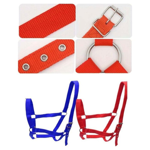 Adjustable Horse Halter - Durable, Suitable for Training, Trail Riding, and Stable Use Red 2