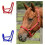 Adjustable Horse Halter - Durable, Suitable for Training, Trail Riding, and Stable Use Red 7