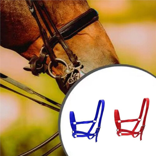 Adjustable Horse Halter - Durable, Suitable for Training, Trail Riding, and Stable Use 2