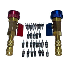Kit Extractor Instalador Válvula R134a Coche con 30 Núcleos y Llaves Alta/Baja Presión Herramienta Cambio Rápido Sistema AC