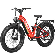 Freesky A320 Electric Bike 37MPH Adults 3000W 48V 25AH E-Bike