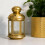 Rustins RUSTINS Quick Dry Gold Paint 500ml 4