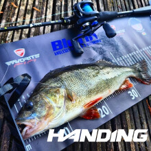 HANDING M1 Bass vishengel, 1.68-2.13m, 24 ton koolstofvezel, Fuji O+A geleideringen, voor baarsen