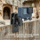 Backpacks Clip Mount for    Cameras Clamp Holder with 360 Degree Rotation Quick Angles Adjustment 3