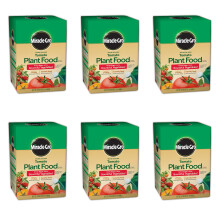 Miracle-Gro 2000422 Abono para Plantas de Tomate (6 Pack), 1.5 lb