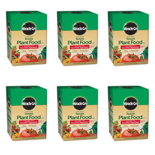 Miracle-Gro Miracle-Gro 2000422 Abono para Plantas de Tomate (6 Pack), 1.5 lb