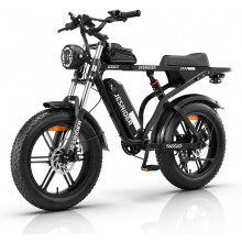 JESRIDER G550 Electric Bicycle, 250W, 20Ah Battery