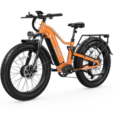 Mountain Ebike Adults 4000W Freesky M410 48V 25AH Electric Bike