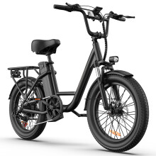 URLIFE E20 Electric Bike, 13Ah Battery, Black