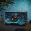 Edifier Edifier QD35 Hi-Res Bluetooth 40W Speaker for TV/MAC/PC/Laptop - Black 6