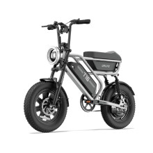 URLIFE T16 16''Electric Bike, 13Ah Battery, Silver