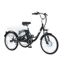 GOGOBEST GF100 24'' Electric Tricycle 250W 36V 15Ah Cargo E-Trike Black UKStock