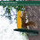 2 Pack Squirrel Corn Cob Feeder - Rustproof Wild Bird & Animal Feeder for Trees & Fence Posts 2