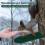 2 Pack Squirrel Corn Cob Feeder - Rustproof Wild Bird & Animal Feeder for Trees & Fence Posts 4