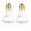 R20 60W Popcorn Machine Light Bulb 2 Pack, E26 Heat Shatterproof S4886 Replacement, 2700K , Dimmable 120V Incandescent 1