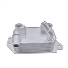 CV6P-7869-AE Engine Oil Cooler for Escape Transit Connect Tourneo Connect 2007-2023 5165817 CV6P7869AE