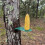 Squirrel Corn Cob Feeder Platform for Outside Backyard,Backyard Wildlife Feeding Station,Fits Tree Trunk or Fence Post 3