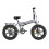 ENGWE ENGWE EP-2 Boost Electric Bike, no throttle, Gray 2