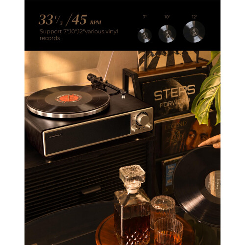 Qlearsoul ONE-Q All-in-One Record Player with Speakers, Bluetooth 5.4 1