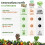 Generation earth 70 x 10L Compostable Food Waste Bin Liners 2