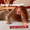 Silentnight Silentnight Comfort Control Electric Blanket, Double Bed, 135x120cm 2