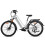 Hedatx TX10 electric bicycle, 19.2Ah battery,White 1